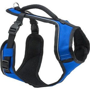 PetSafe Нашийник за куче EasySport „M, синьо