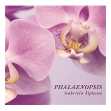 Phalaenopsis