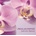 Phalaenopsis