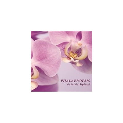 Phalaenopsis
