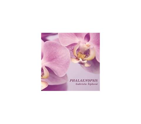 Phalaenopsis