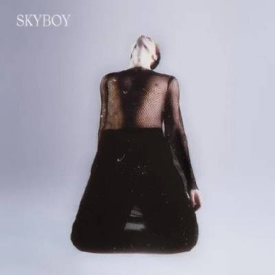 Duncan Laurence - Skyboy (LP) (0602455482433)