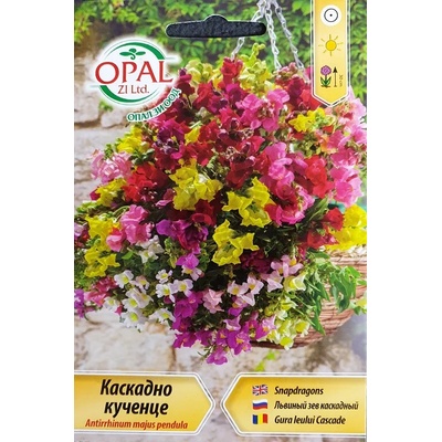 Opal Zi Каскадно Кученце Antirrhinum majes pendula