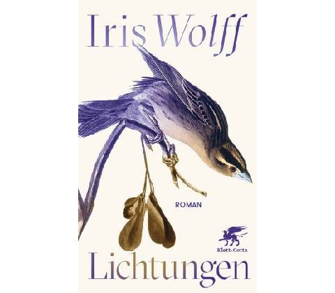 Lichtungen