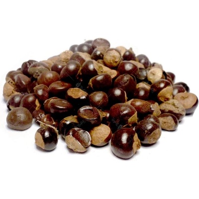 Bylík Guarana plod 150 g
