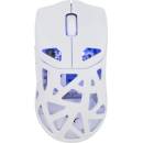 White Shark DAGONET-W