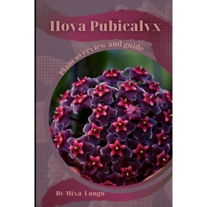 Hoya Pubicalyx (ISBN: 9798859980260)