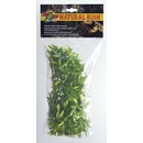 Zoo Med Bolivian Croton M