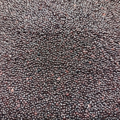 Červený amarant na mikrozeleninu, 50 g