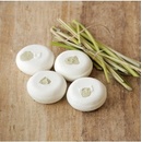 Šampony Ponio tuhý šampon proti lupům Tea tree & Lemongras 60 g