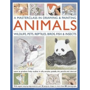 Masterclass in Drawing & Painting Animals | Jean Paul van Boxtel (ISBN: 9780754820598)