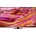 Samsung QE50QN90FAT