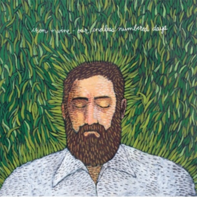 IRON & WINE: OUR ENDLESS NUMBERED LP