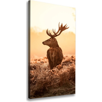 Vertikálny foto obraz na plátne Jeleň východ slnka 50x100 cm
