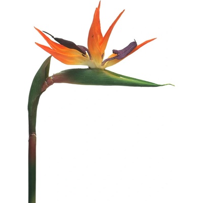 Strelitzia malá oranžová V84cm