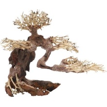 Dupla Bonsai M 30x15x23 cm