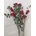 DecorGlass RM2037