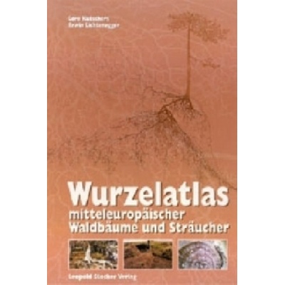 Wurzelatlas mitteleuropäischer Waldbäume und Sträucher (Lore Kutschera,Erwin Lichtenegger)(Pevná)