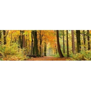 DIMEX ART Фототапет за кухня - есенна гора 180 x 60 см