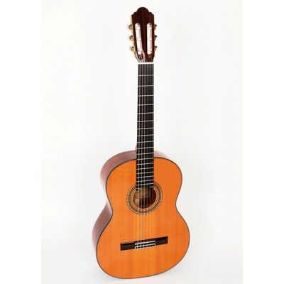 Pablo Vitaso VCG-40C Elev