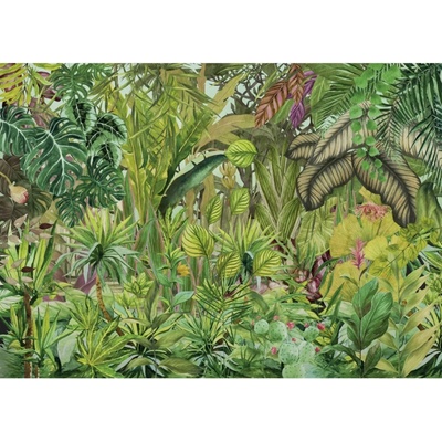 Komar Vliesová fototapeta Colorante 250 x 350 cm