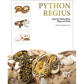 Python regius | Stefan Broghammer