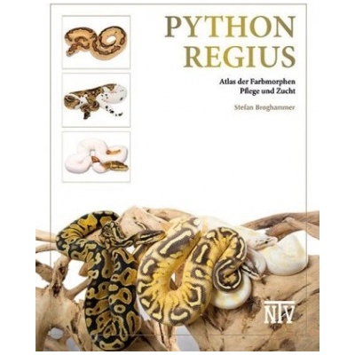 Python regius | Stefan Broghammer