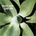 Depeche Mode - Exciter (CD) (0888837513029)