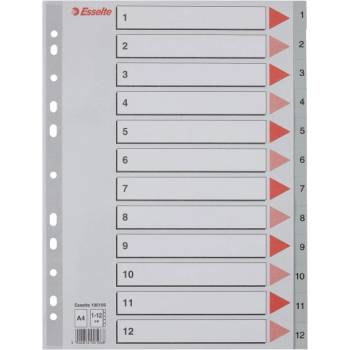 ESSELTE Регистър ESSELTE A/4 plastic 1-12 100106 (100106)
