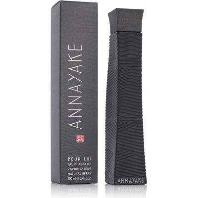 Annayake Pour Lui toaletná voda pánska100 ml