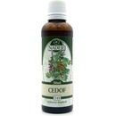Naděje Podhorná Cedof 50 ml