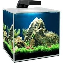 Ciano Aquarium Cube 15 Clear 14 l