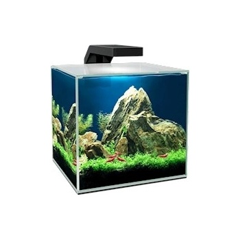 Ciano Cube 15 Clear 14 l