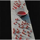 McCartney Paul McCartney SHM CD