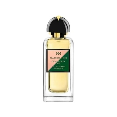Maison Noir Quandoley 805 parfémovaná voda unisex 100 ml