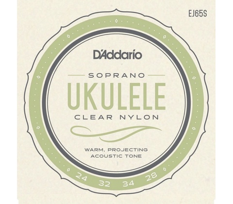 D'addario EJ65S