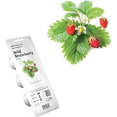 Kapsuly na pestovanie jahôd 3 ks SGR24X3