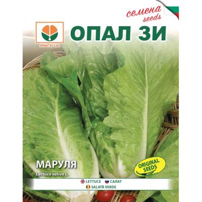 Opal Zi Маруля Париж