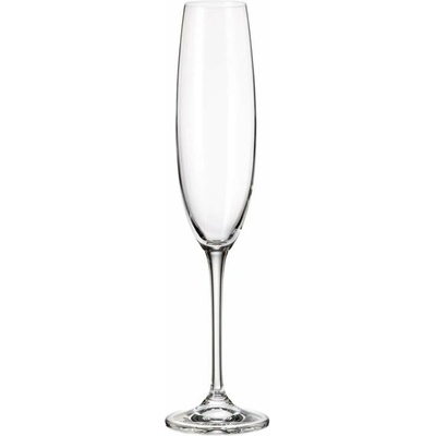 CRYSTALITE BOHEMIA BOHEMIA FULICA POHÁR NA ŠAMPANSKÉ 6 x 250 ml