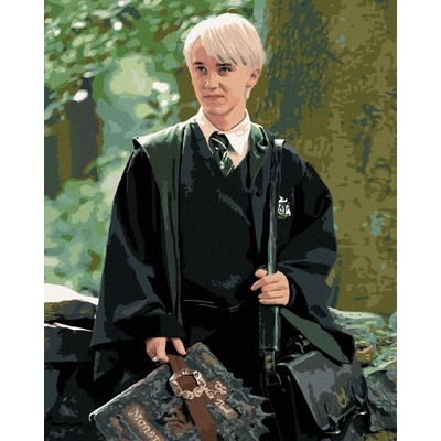 Malování podle čísel Draco s obludáriem Harry Potter