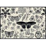 Interdruk - Puzzle Butterflies and flowers 500 - 500 piese