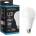 Mexen Nova LED крушка E27, A95, 25W, Студена - 6500K, 2625 lm - L100-E27-2565-01 (L100-E27-2565-01)