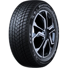 GT Radial WinterPro 2 evo 215/50 R17 95V