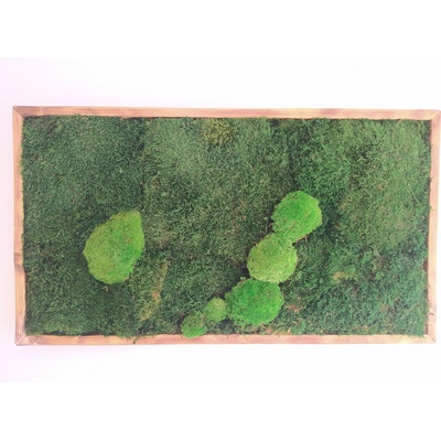 Machový obraz- lesný mach 50cm x 90cm