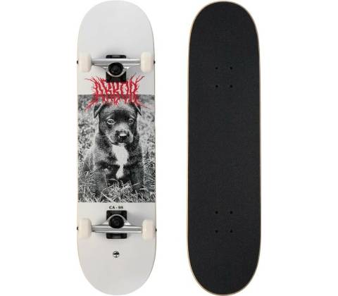 Arbor Puppy