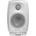 Genelec 8010
