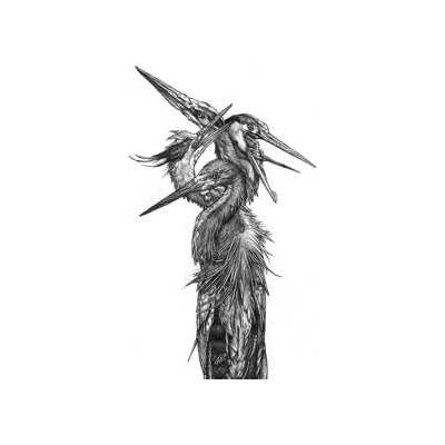Grand Blue Heron - Grand Blue Heron LP