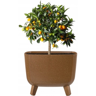 Prosperplast Květináč 29 x 29 x 22 cm plast béžový