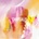 AVAWAVES - CHRYSALIS CD