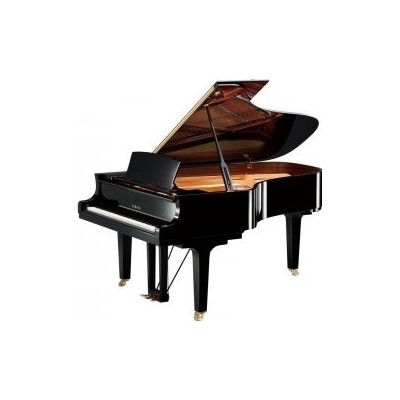 Yamaha C6X PE